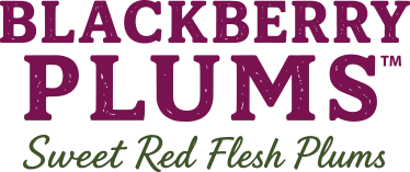 black berry plums img