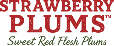 sweet red flesh plums